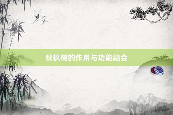 秋枫树的作用与功能融会
