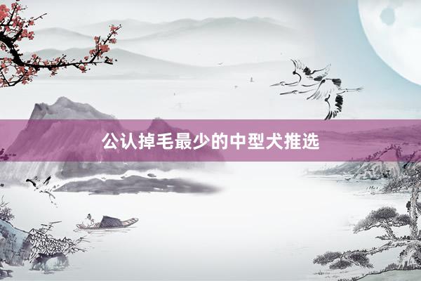 公认掉毛最少的中型犬推选