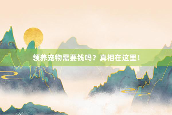 领养宠物需要钱吗？真相在这里！