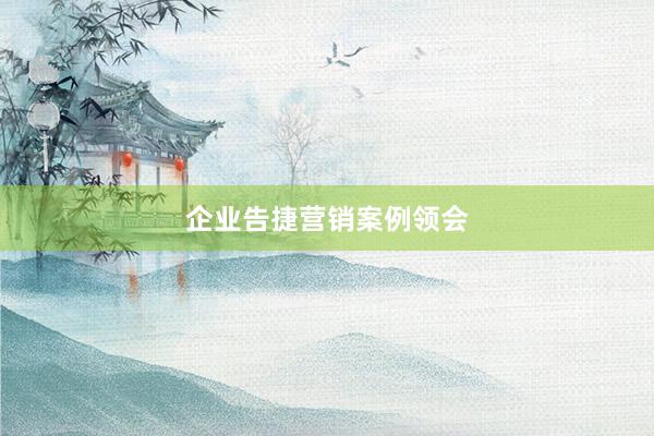 企业告捷营销案例领会